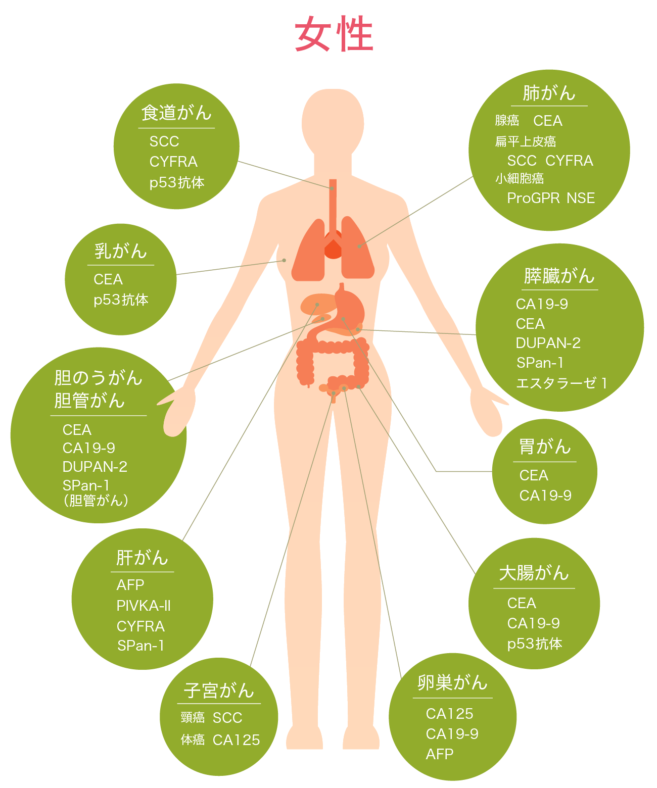 女性の腫瘍マーカー