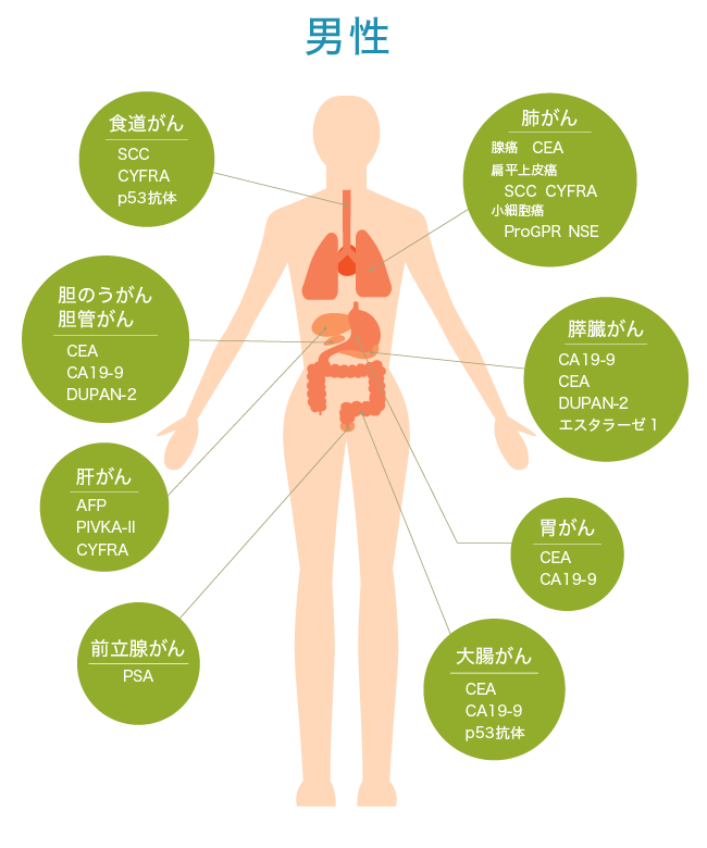 男性の腫瘍マーカー