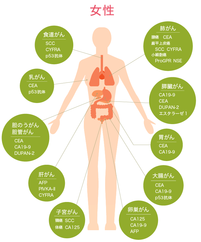 女性の腫瘍マーカー